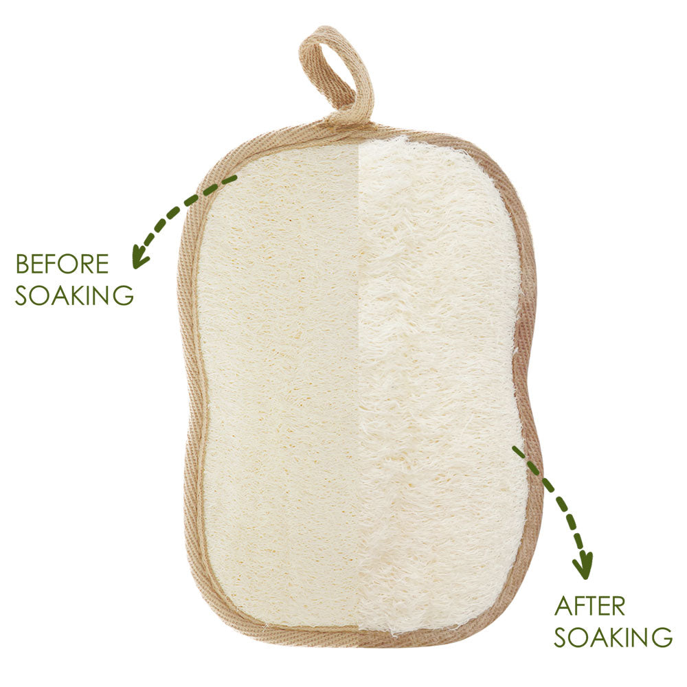 Bath sponge-5